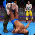 World Tag Team Wrestling Revolution Championship