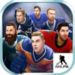 Puzzle Hockey