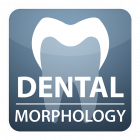 DENTAL MORPHOLOGY for Student