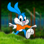 Beeny Rabbit Adventure Platformer World