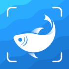 Picture Fish – Fish Identifier